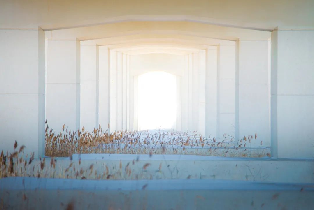 九型人格学习的最终目的是什么? 九型人格学习的最终目的是什么?